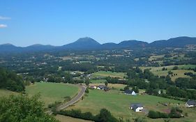 Iris, Gite Saint Antoine, Orcival, Entre Sancy Et Volcans D'Auvergne
