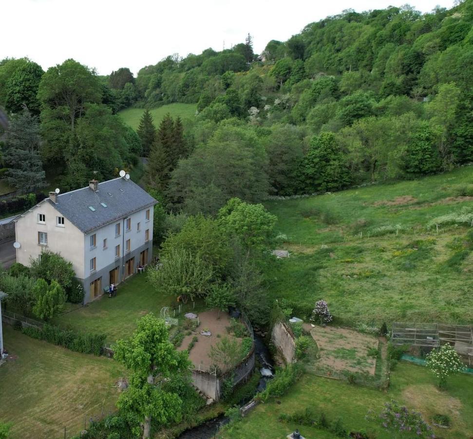 Iris, Gite Saint Antoine, Orcival, Entre Sancy Et Volcans D'Auvergne Extérieur photo